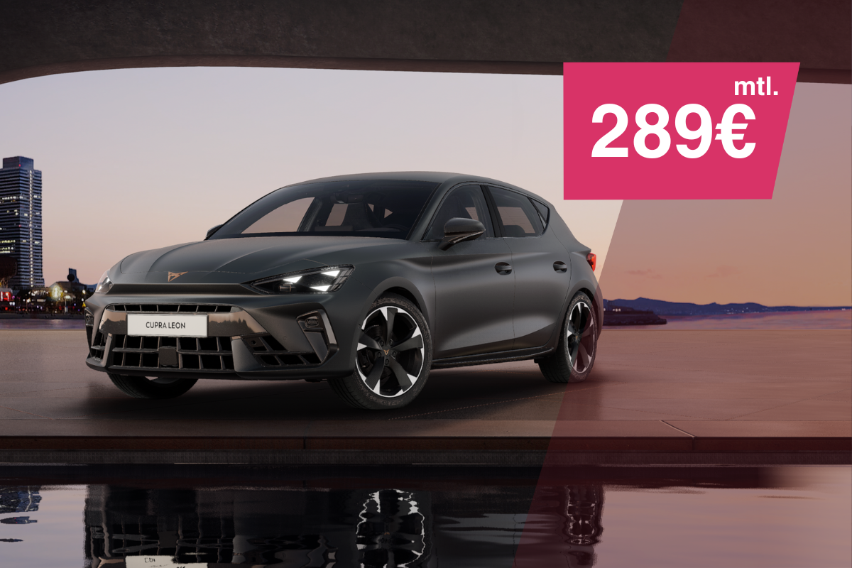 Leon 150 PS Benziner